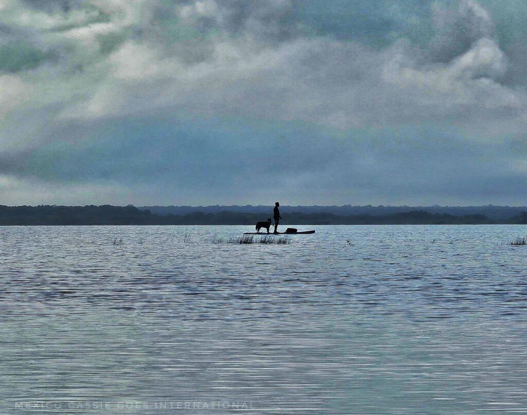 person and dog on paddle board on water, cloudy sky