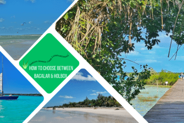 green text box: how to choose between bacalar and holbox. 4 photos, 2 of bacalar and 2 of holbox