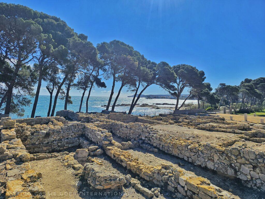 green ruins, pine trees, beach and ocean
