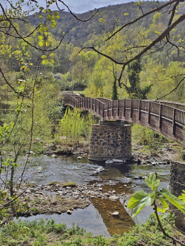 cute wooden bridge over shallow water