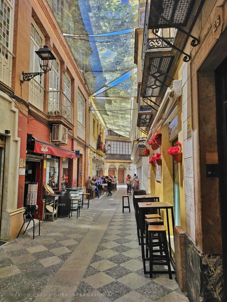 narrow pedestrian street with shops and bars on either side (tables and stools too), shades between the buidlings, flowers on walls
