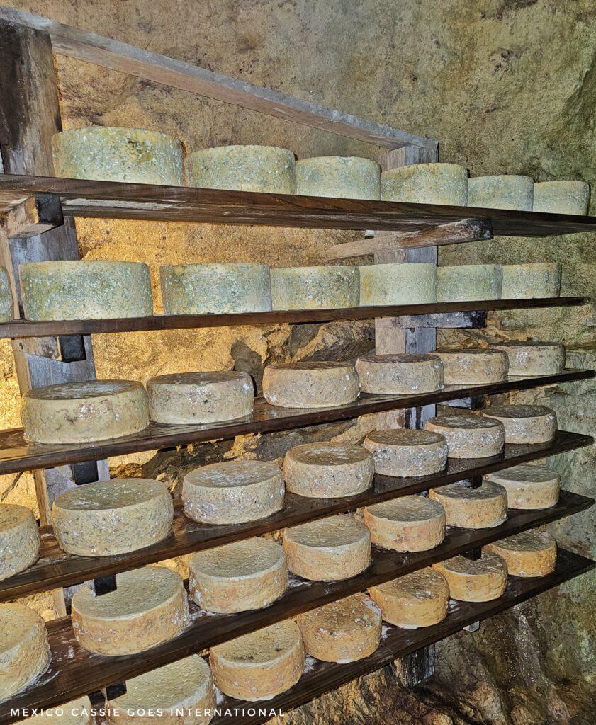 rows of round cheeses
