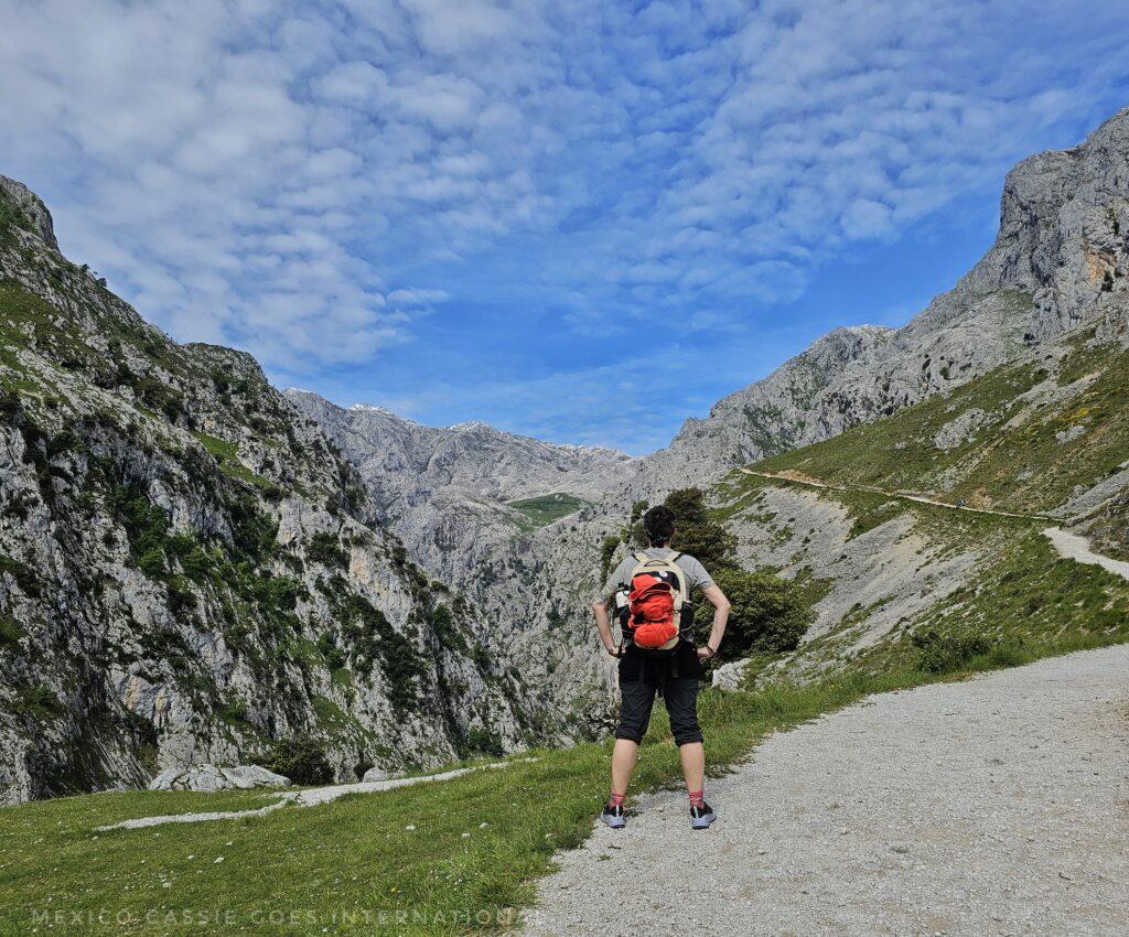 Cass standing facing away from camera observing the view of mountain path ahead