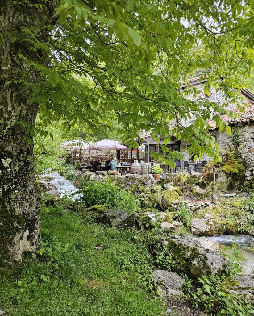 view of a small outdoor cafe through the trees