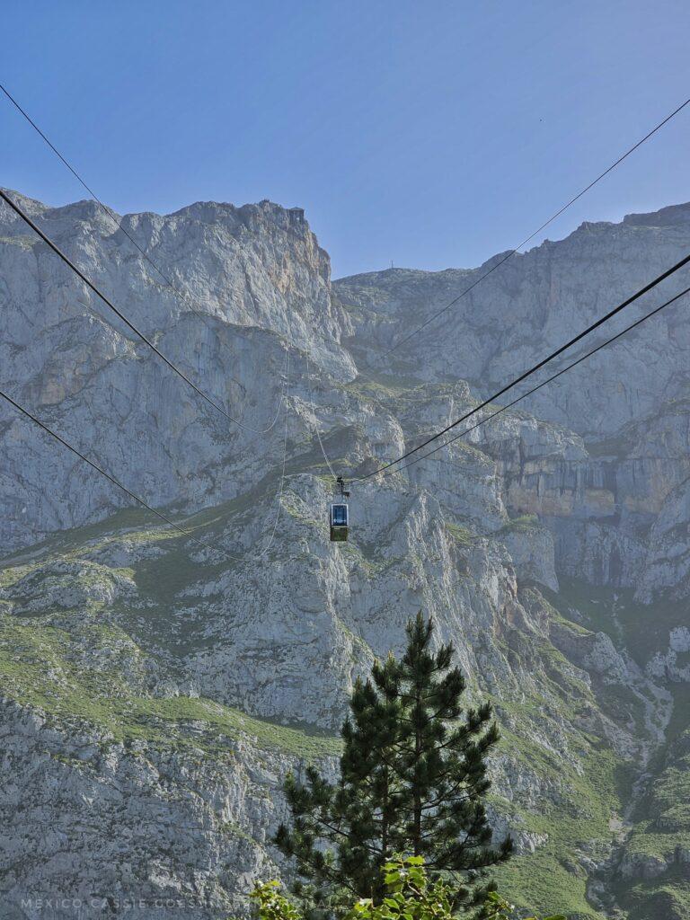 looking along cable car cables, cable in middle, mountains behind, tree top in front