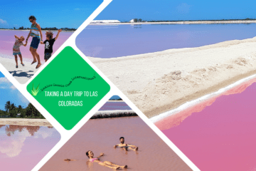 green text box: taking a day trip to Las Coloradas. 4 photos of pink water - one with two people swimming in it, one with adults and 2 kids jumping next to it