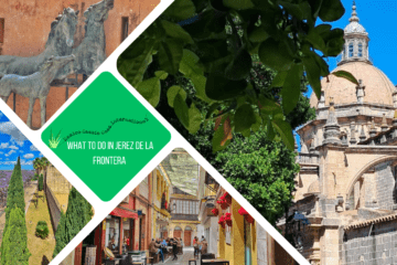 green text box: what to do in jerez de la frontera. 4 photos. 1 of cathedral, 1 of street, 1 of jacarandas and alcazar, 1 of sculpture of horses