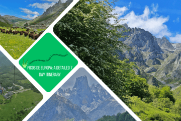 green text box: Picos de Europa, a detailed 7 day itinerary. 4 photos of the Picos, including sheep, snow, mountains