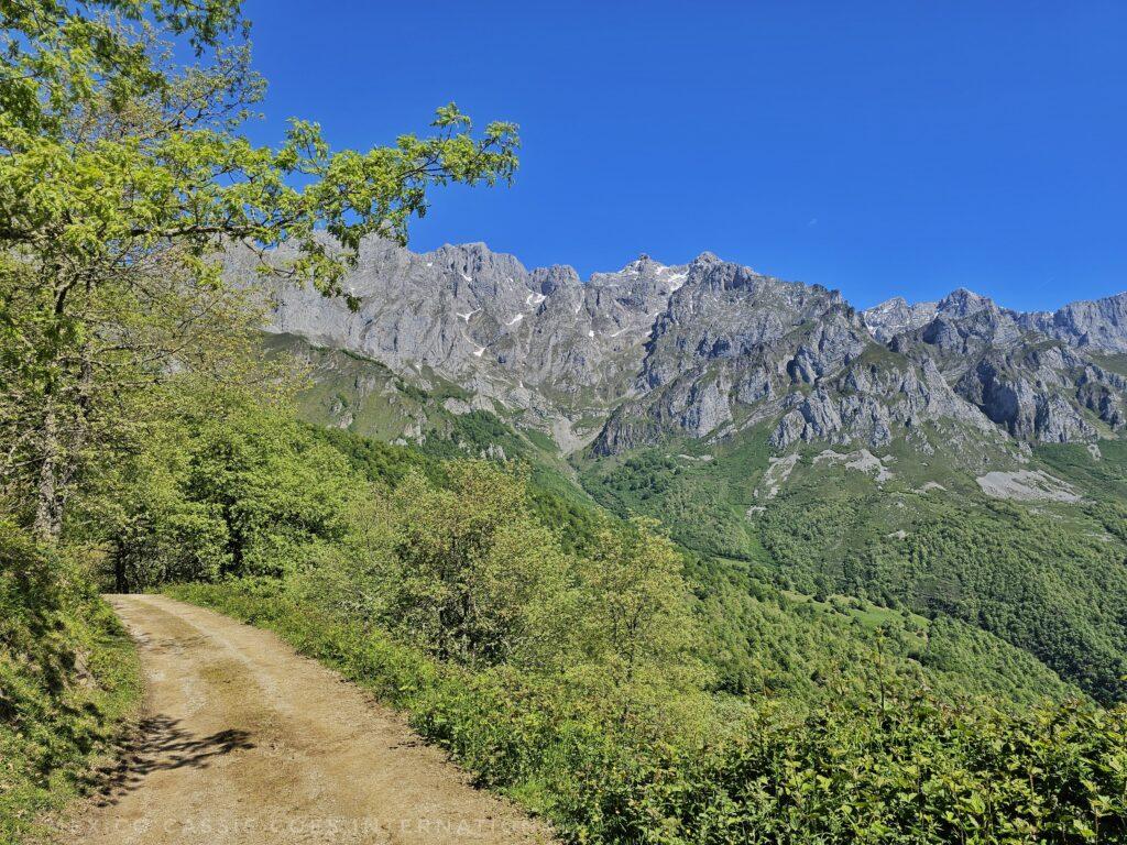 dirt path on left of photo, mountains with small amount of snow in distance, green trees all around, blue sky