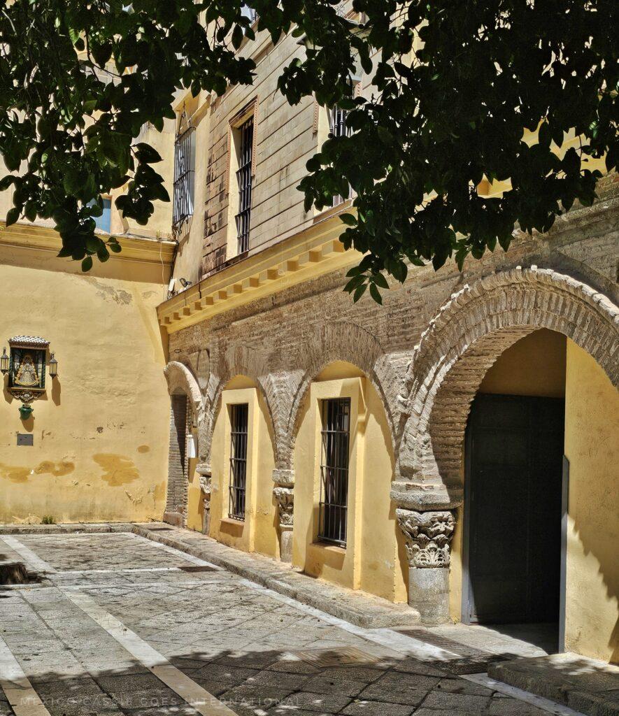 corner of a courtyard, tree's branches and leaves in top of photo, arches on right