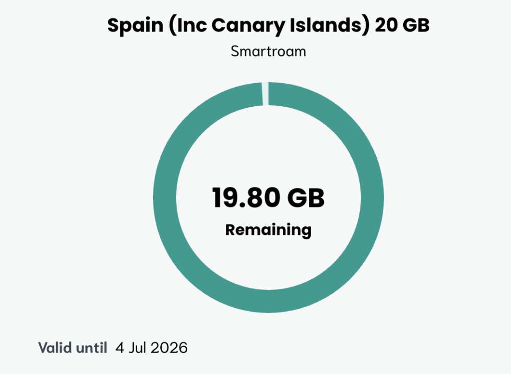 chart showing how much of 20gb has been used of an esim (19,80gb remaining written inside of almost complete green circle