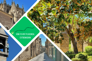 green text box: how to visit Plasencia, Extremadura. 4 photos, one of acueduct through trees, one of street, one of cathedral and one of bell tower with sculpture of a man holding on