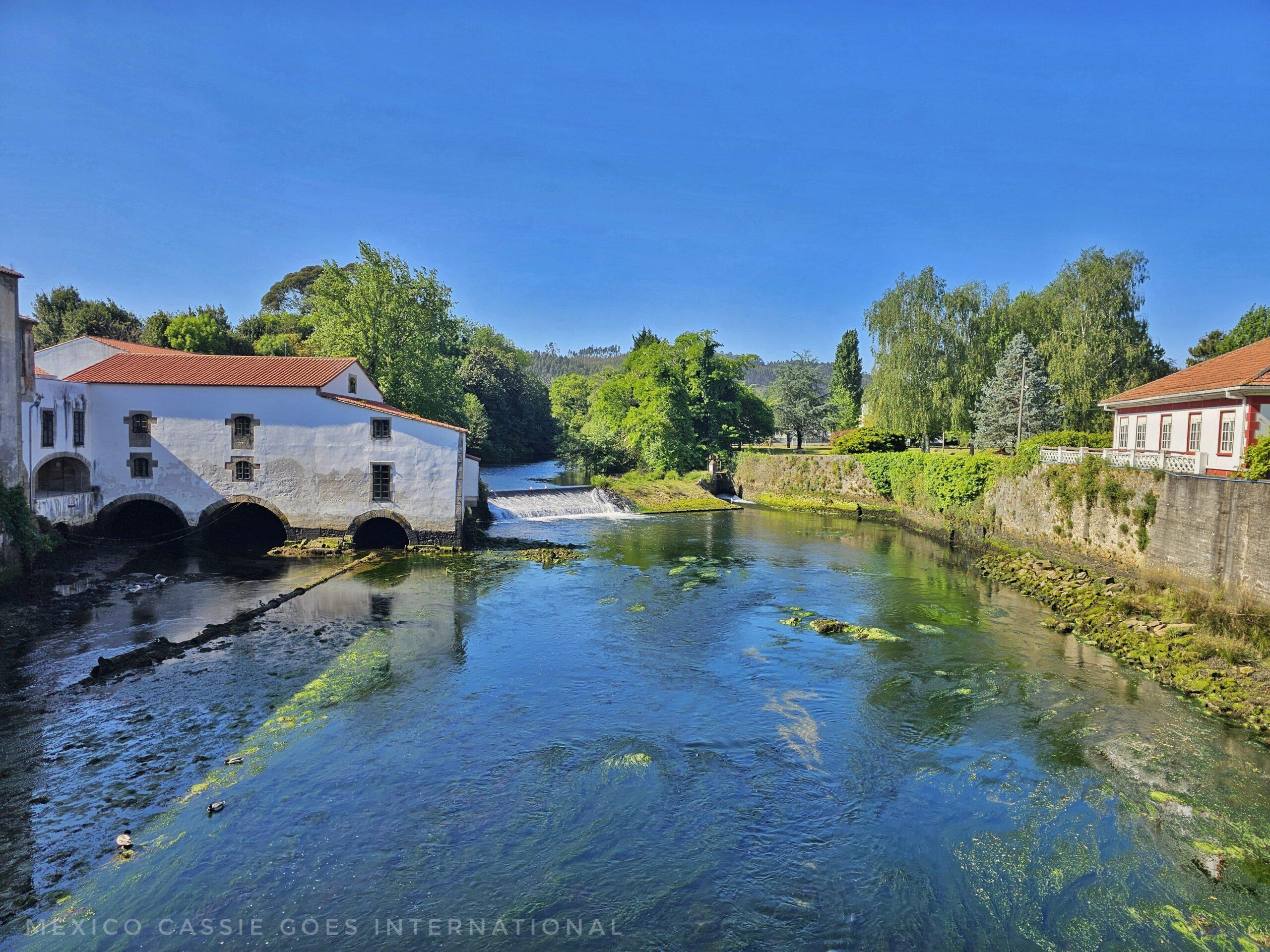 white mill on shallow river, trees all around