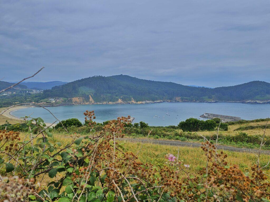 view over a bay, fields in front, cliffs in distance, moody sky