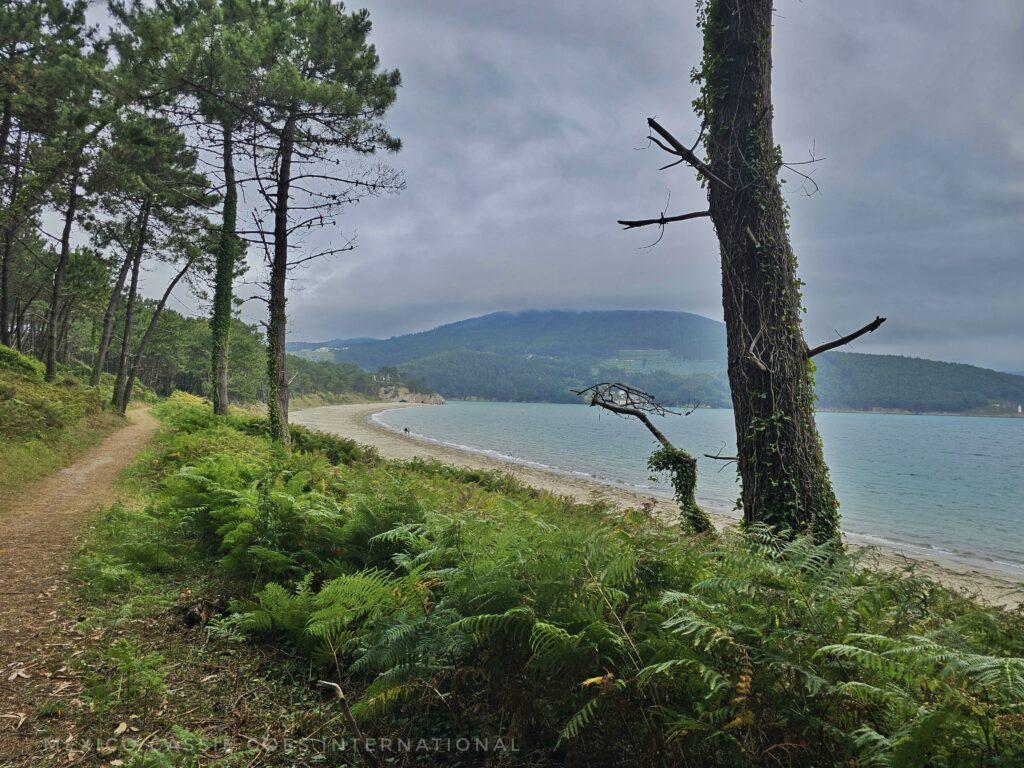 photo taken from a forest path with beach on right hand side, sand, light blue water, lots of cloud