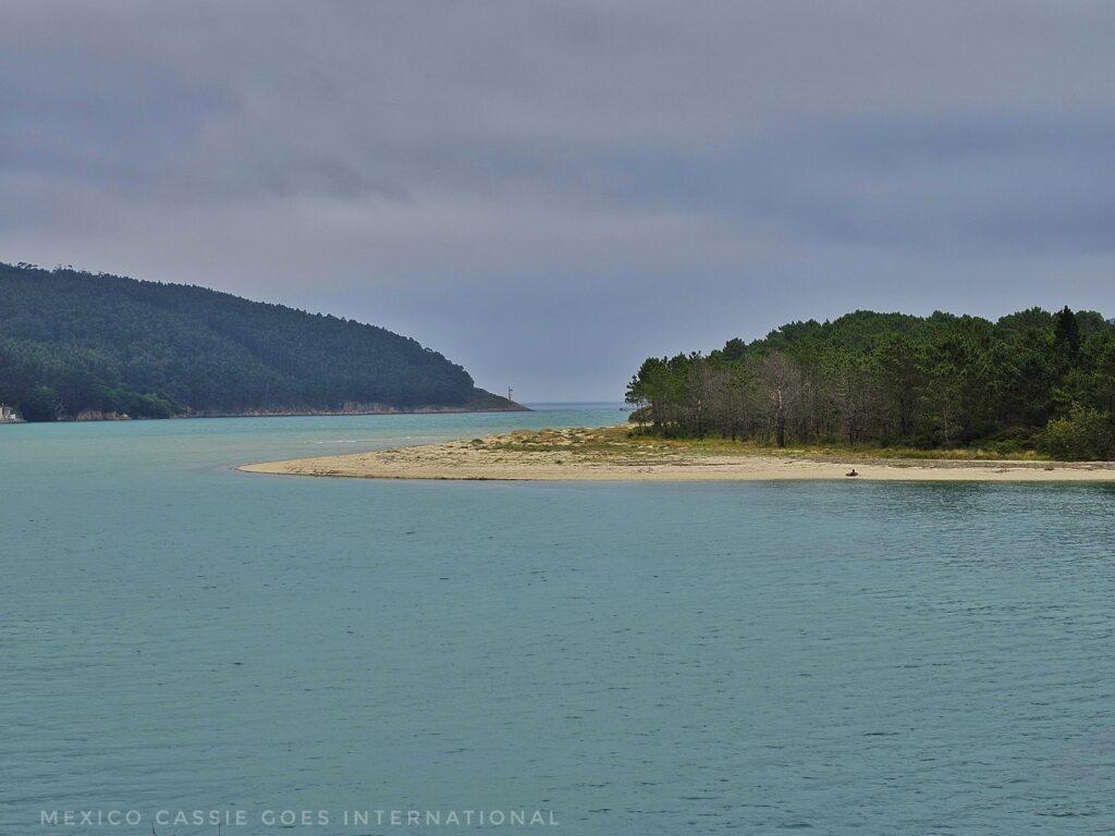 bright blue estuary water, small beach opposite with forest behind