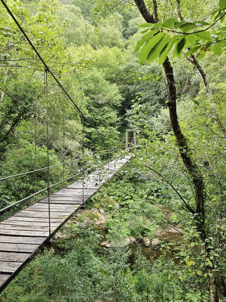 small wooden suspension bridge through forest