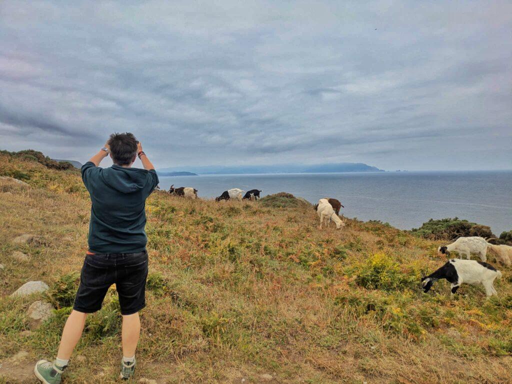 Cass taking photos of goats on coast