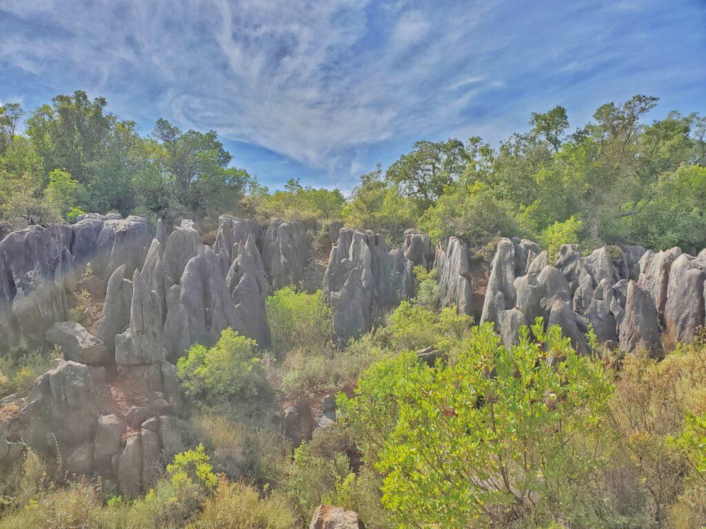 karst formations with trees all around