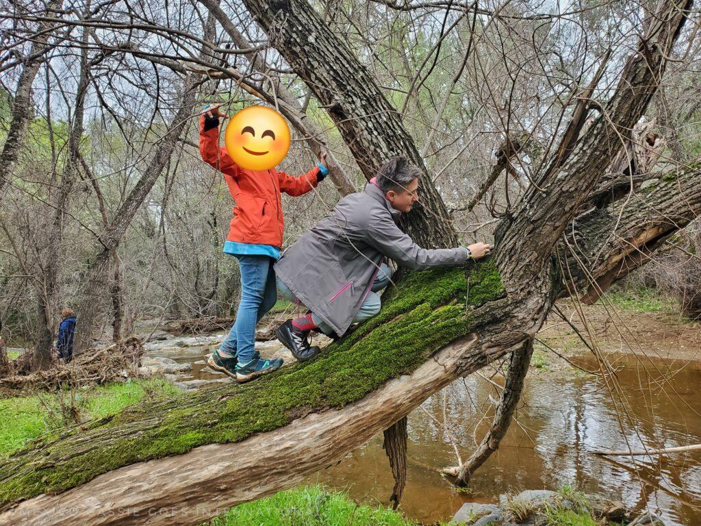 Cass and kid with emoji on face standing on a tree in a forest