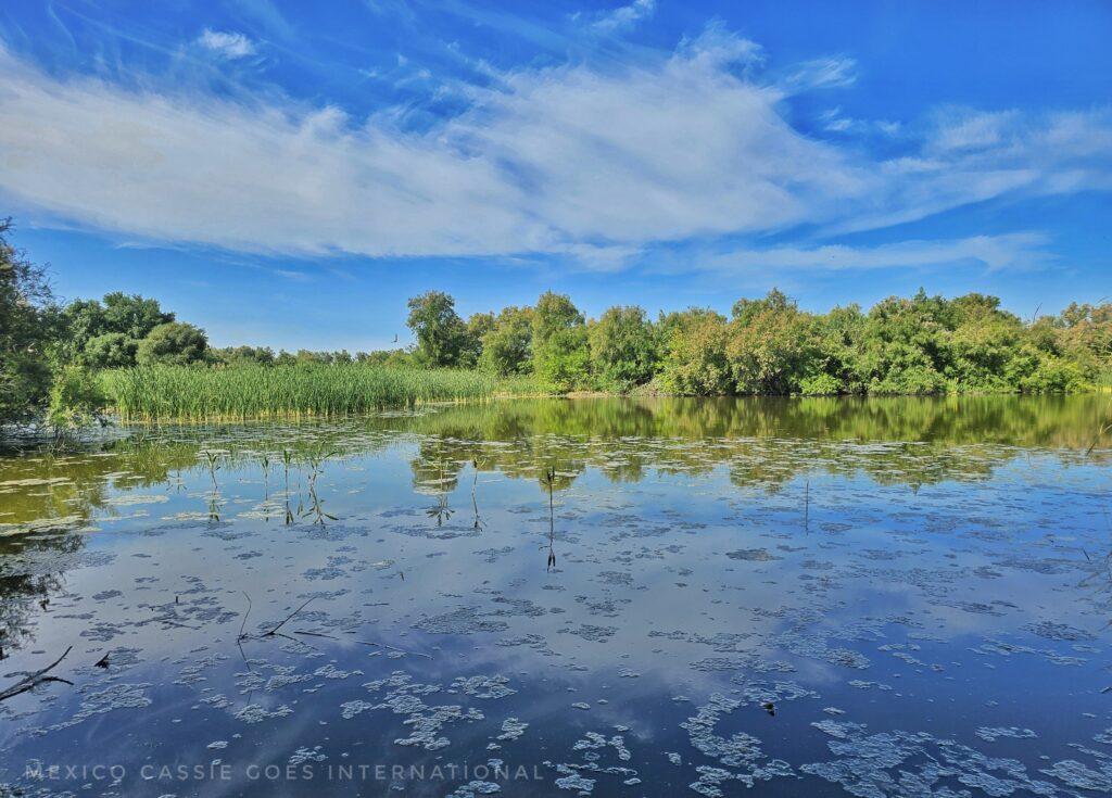 large still body of water, trees, reflections of trees, blue sky with a few clouds above