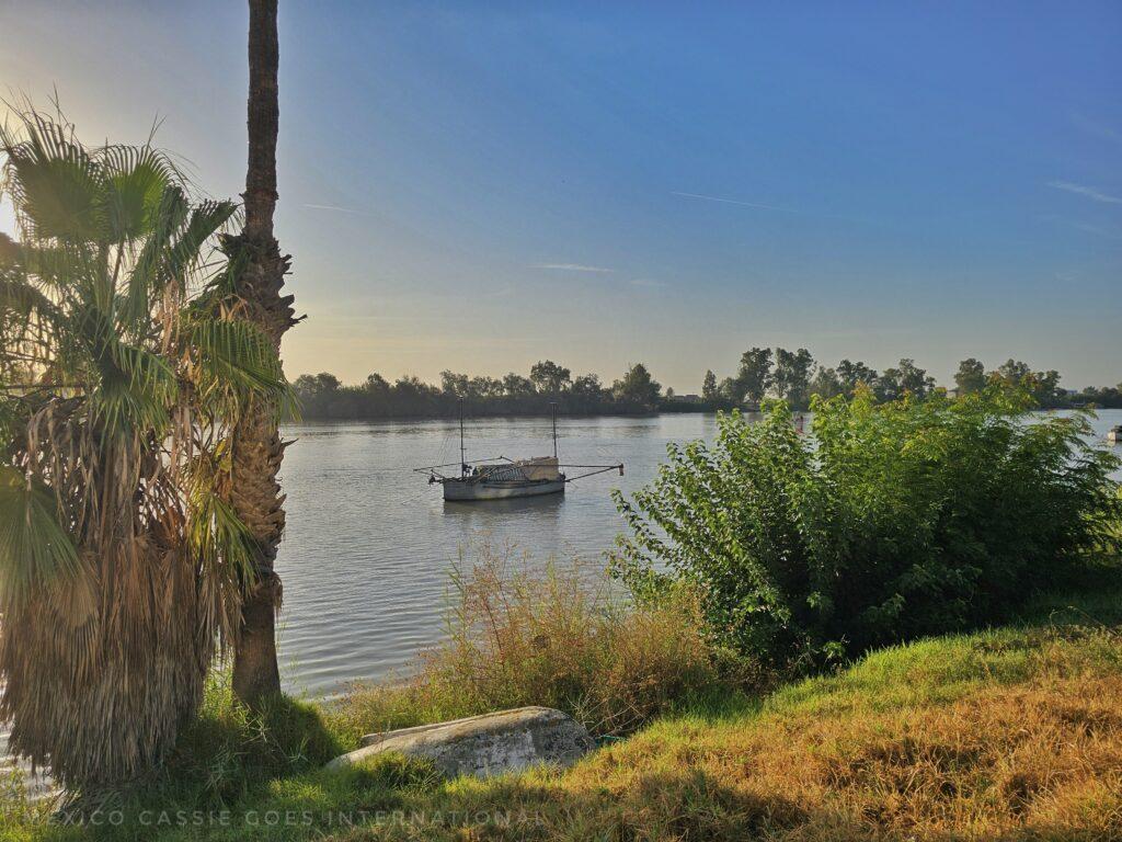 beautiful river scene, palm trees on left, reeds on right and boat on water between them