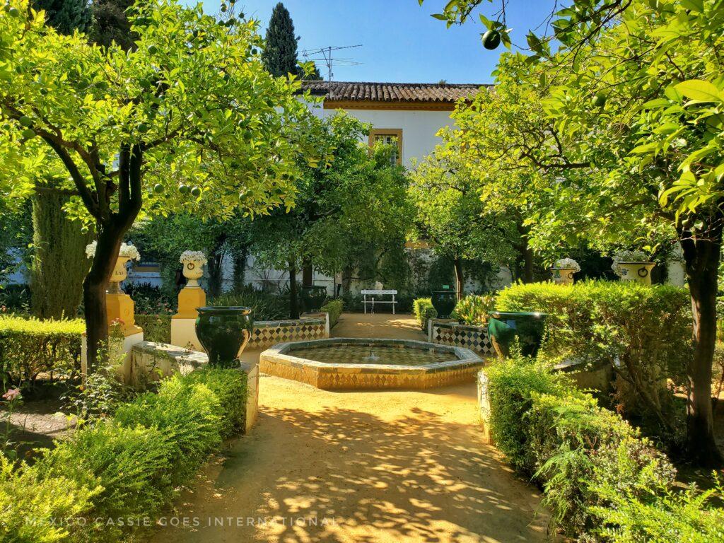 fountain in garden surrounded by trees and benches