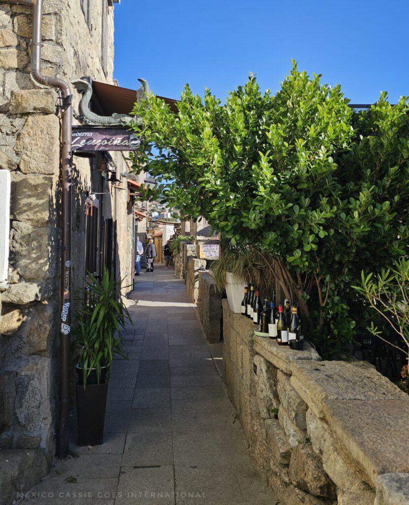 narrow street with wall and tree on right and shops on left