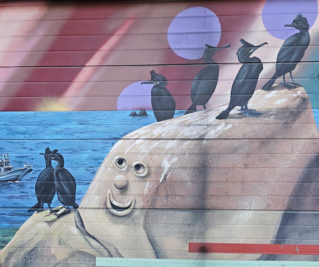 cormorants on a rock that has a face