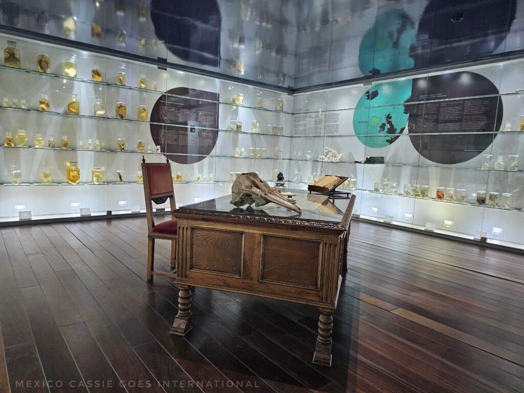 room with wooden floor, desk in middle with a skull on it, walls lined with specimen jars full of marine creatures