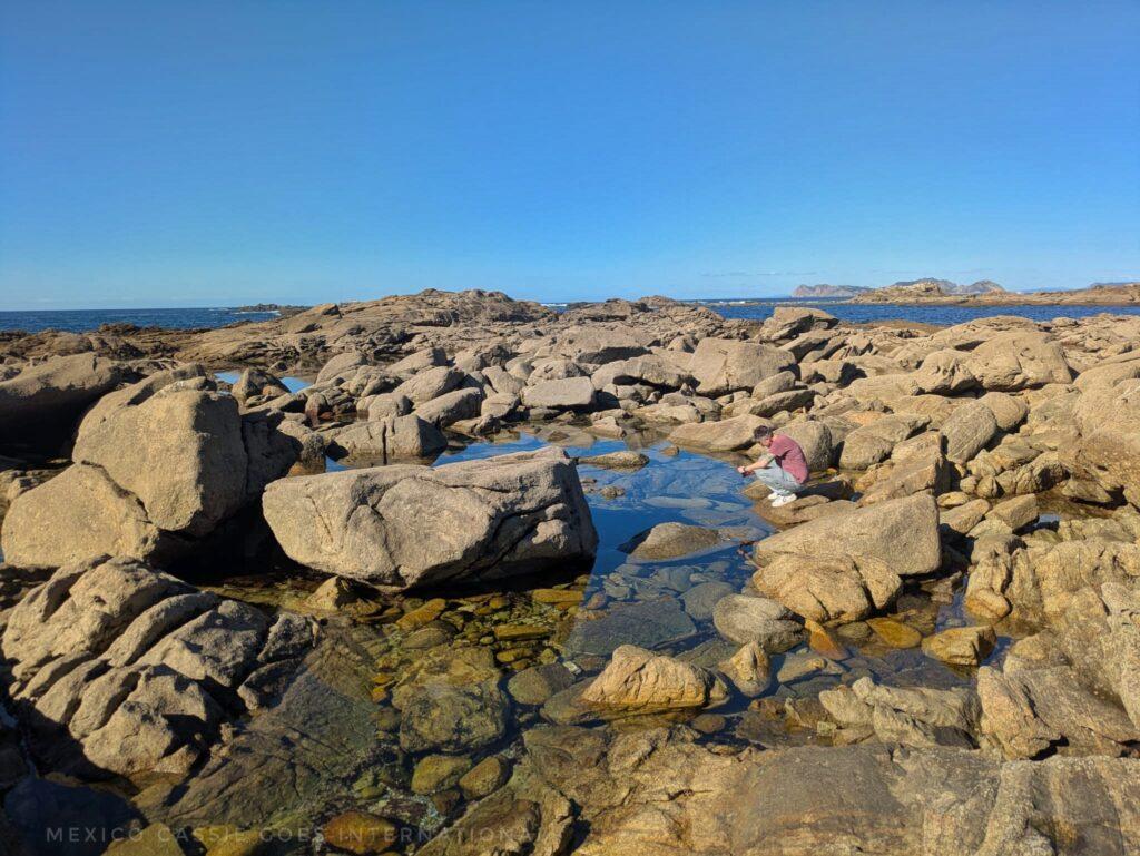 cass crouched down by a rock pool taking a photo