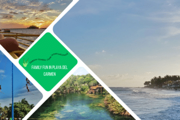 green text box: family fun in Playa del Carmen, 4 photos of PdC, one of beach, one of a cenote, one of men flying through air on cord and one of a kid watching a sunset over the sea